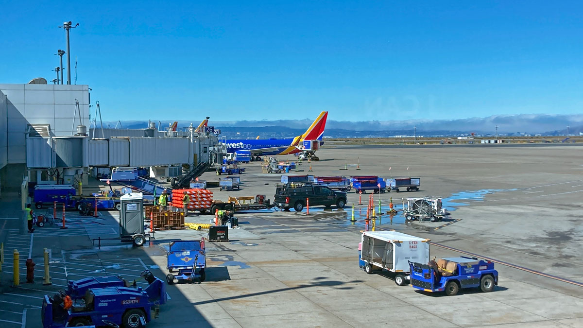 team at oakland international
